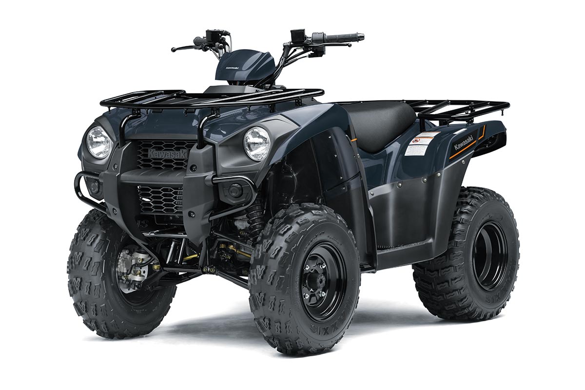 2025 Kawasaki BRUTE FORCE 300 photo 2