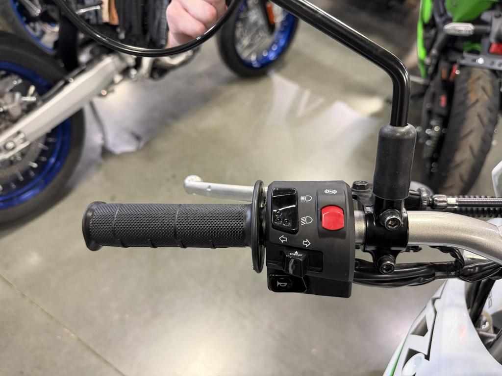 2026 Kawasaki KLX230 S photo 3