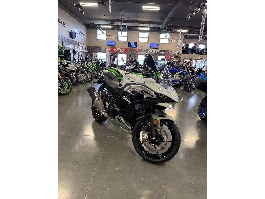 2026 Kawasaki Ninja 500 SE photo 2