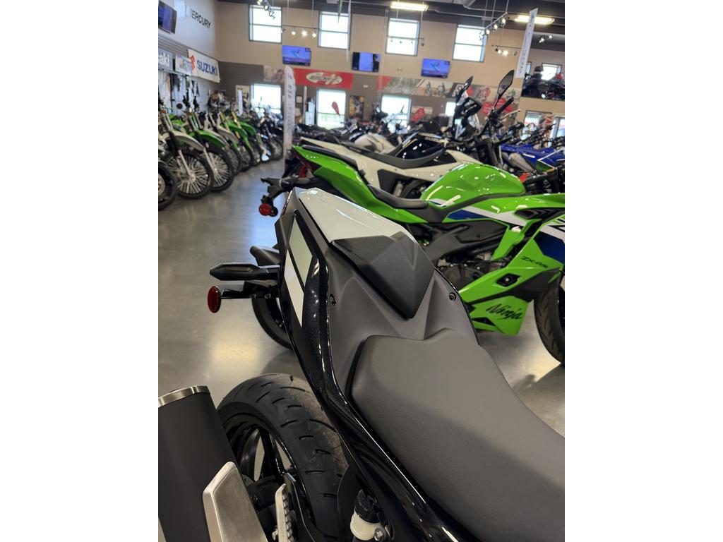 2026 Kawasaki Ninja 500 SE photo 4