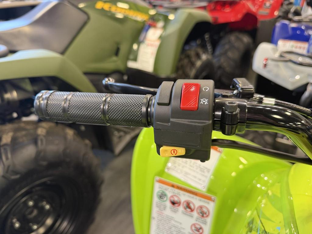 2026 Yamaha Raptor 110 photo 4