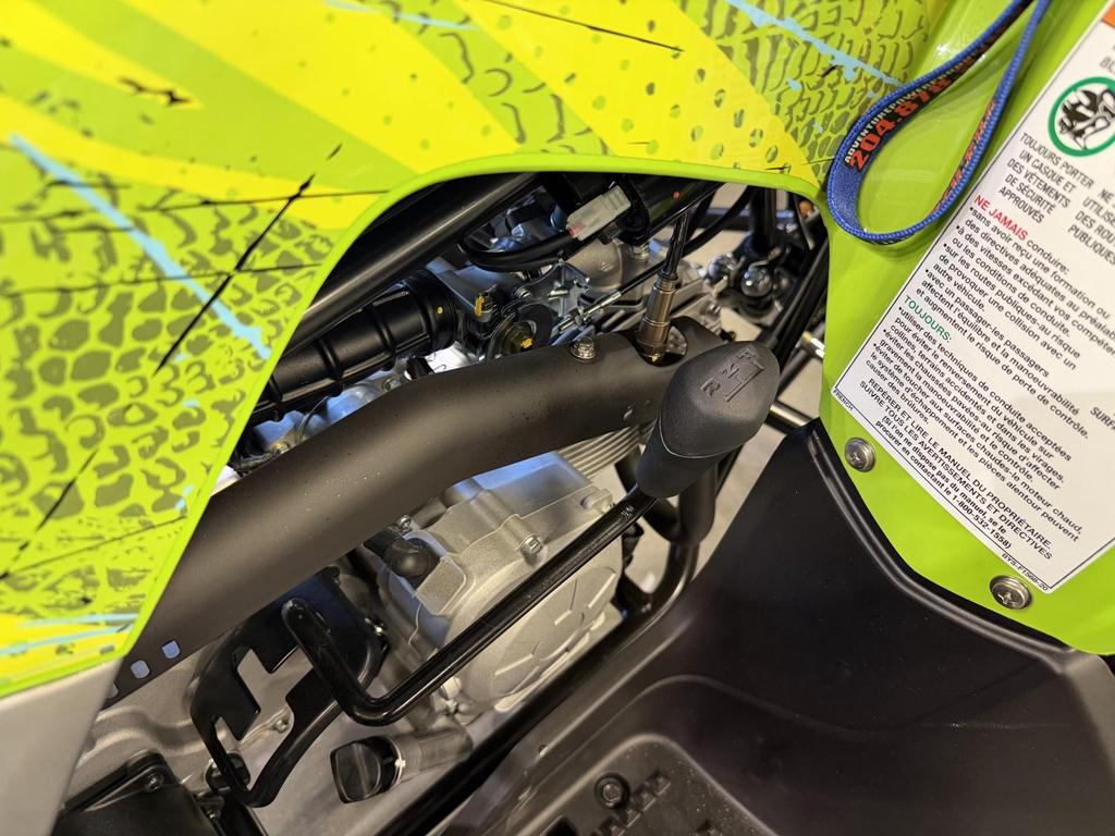 2026 Yamaha Raptor 110 photo 3