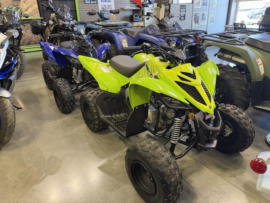 2026 Yamaha Raptor 110 photo 2